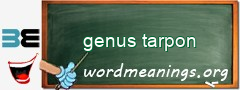 WordMeaning blackboard for genus tarpon